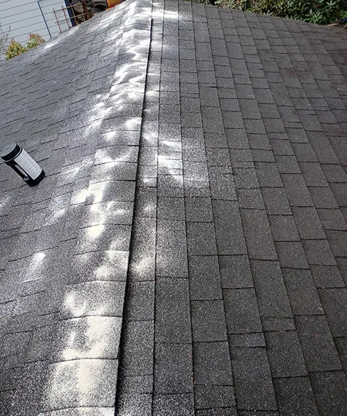 Roof Cleaning in Centralia 